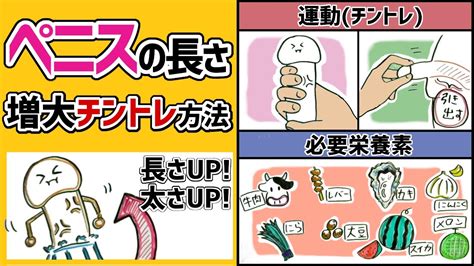 ちんこ 大きくする方法|ちんこを大きくする方法10選｜ペニスを増大成長させ 